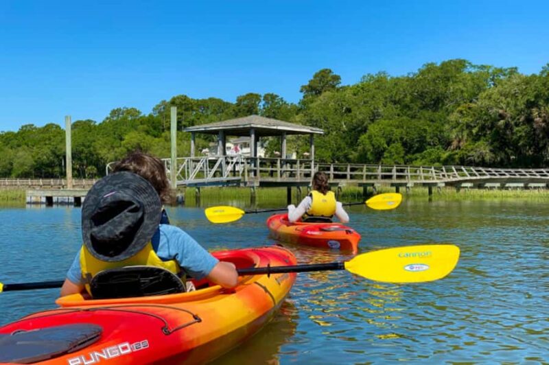Hilton Head: Guided Kayak Nature Tour with Wildlife Spotting - What the Tour Includes and What to Bring