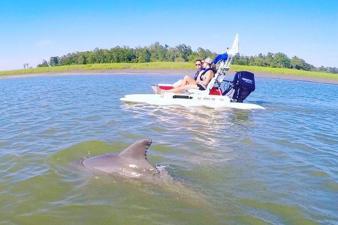 Hilton Head Guided Sunset Creek Cat Tour - The Guide and Tour Experience