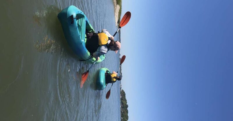 Hilton Head Island: 1.5-Hour Guided Small-Group Kayak Tour - Discover Hilton Heads Calm Waters with a Guided Kayak Tour