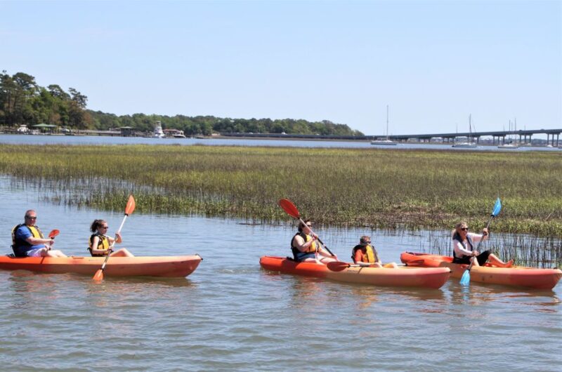 Hilton Head Island: 1.5-Hour Guided Small-Group Kayak Tour - Practical Tips for a Comfortable Kayaking Experience
