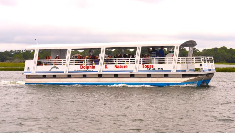 Hilton Head Island: 90-Minute Dolphin & Nature Tour - Learning About Shorebirds and Marine Life