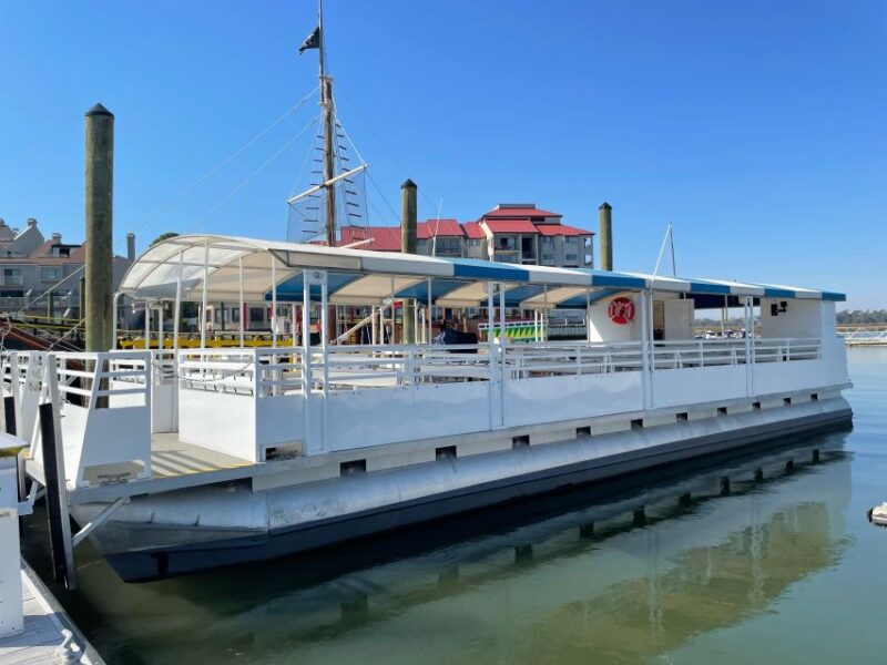 Hilton Head Island: Daytime Dolphin Watching Boat Tour - Who Guides Your Dolphin Adventure?