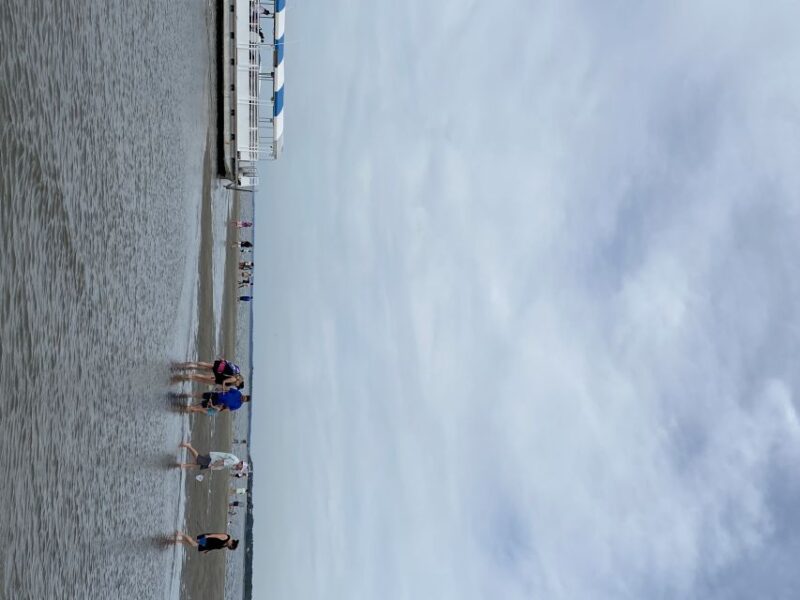 Hilton Head Island: Disappearing Island and Dolphin Tour - Key Points