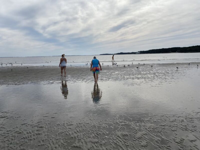 Hilton Head Island: Disappearing Island and Dolphin Tour - Who Will Enjoy This Tour Most?