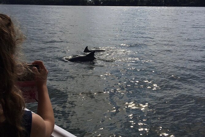 Hilton Head Island Dolphin Boat Cruise - The Crew and Captain: Knowledgeable and Friendly