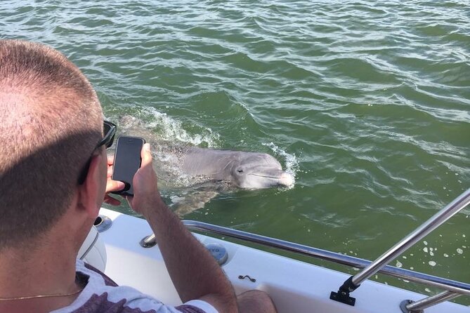 Hilton Head Island Dolphin Boat Cruise - Comparing This Tour to Similar Experiences