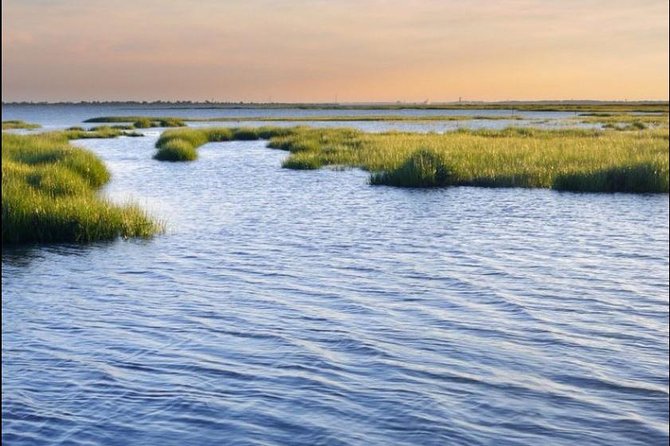 Hilton Head Island Dolphin Watching Nature Cruise - Hilton Head’s Scenic Coastline and Landmark Views