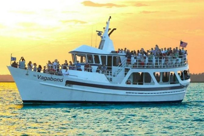 Hilton Head Island Dolphin Watching Nature Cruise - The Vessel: Comfort and Amenities
