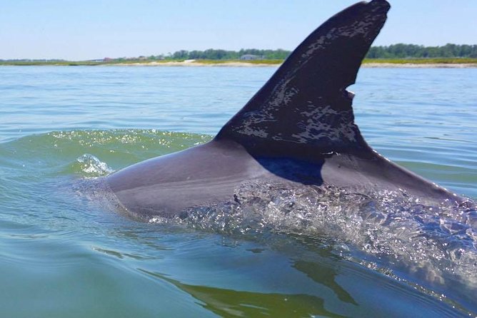 Hilton Head Island Jet Ski Adventure - Discover the Hilton Head Island Jet Ski Adventure: An Exciting Water Experience