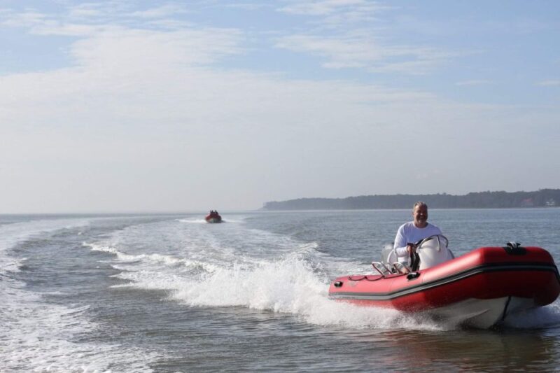 Hilton Head Island: Mini Boat Dolphin Tour - Wildlife sightings: dolphins and more