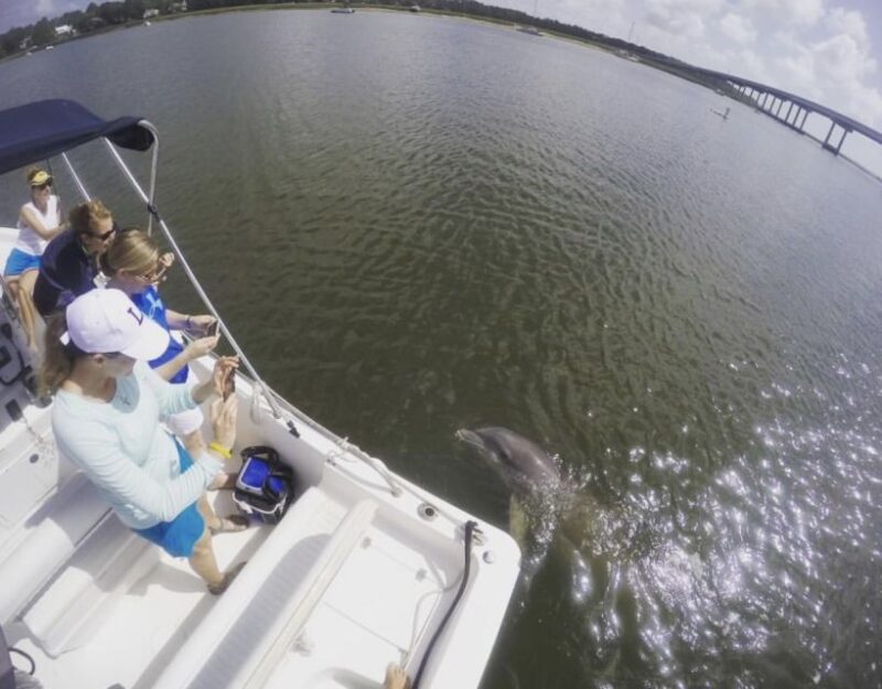 Hilton Head Island: Private Dolphin Watching Boat Tour - Booking, Cancellation, and Payment Flexibility