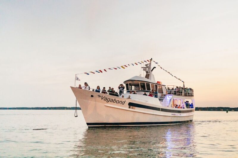 Hilton Head Island: Sunset Dolphin Cruise - Hilton Head Island Sunset Dolphin Cruise Overview