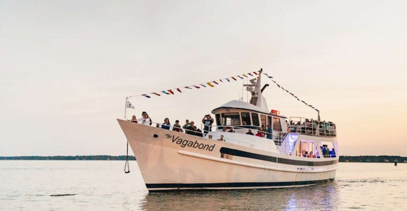 Hilton Head Island: Sunset Dolphin Cruise - Encountering Dolphins in Their Natural Habitat