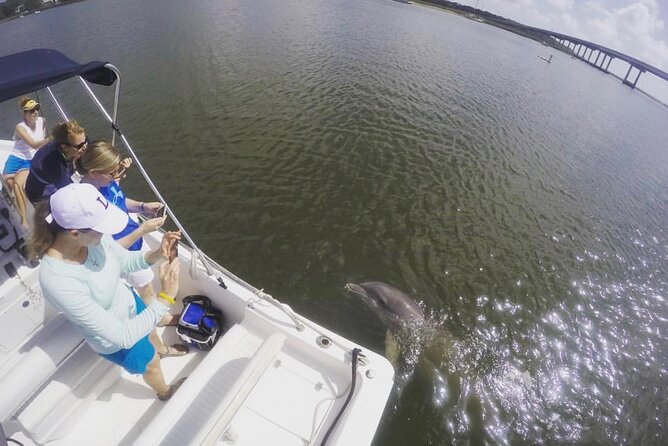 Hilton Head Island Sunset Dolphin Tour - Stunning Sunset Views Over Lowcountry Waters