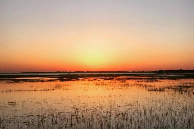 Hilton Head Jet Ski Creek Run Tour - Wildlife Encounters: Dolphins, Birds, and Marine Life