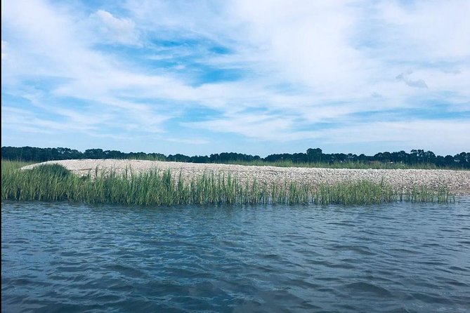 Hilton Head Morning Kayaking & Coffee Guided Tour - What Sets this Tour Apart from Others