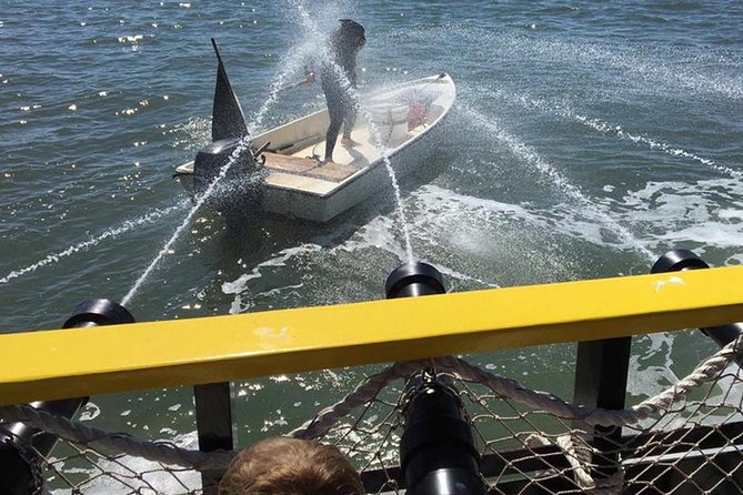 Hilton Head Pirate Ship Adventure Cruise aboard the Black Sparrow - Kid-Friendly Activities and Pirate Costumes