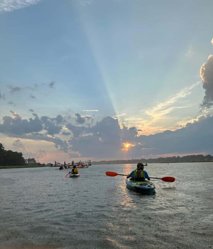 Hilton Head: Private 2-Hour Kayak Dolphin Nature Tour - Key Points