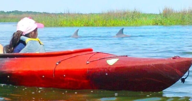 Hilton Head: Private 2-Hour Kayak Dolphin Nature Tour - The Unique Appeal of Hilton Head’s Kayak Tour