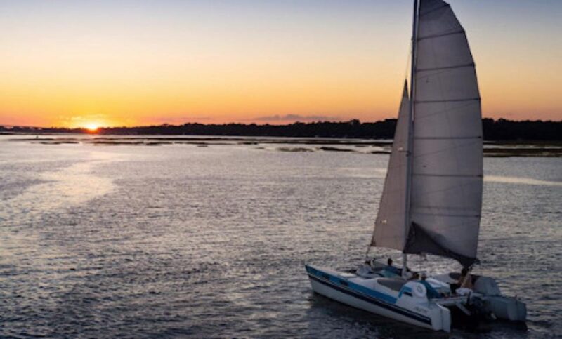 Hilton Head: Private Dolphin Day or Sunset Catamaran Sail - Wildlife Viewing: Dolphins, Birds, and Ecosystem Insights