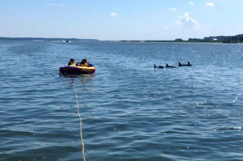 Hilton Head: Private Dolphins & Tubing Adventure - Key Points
