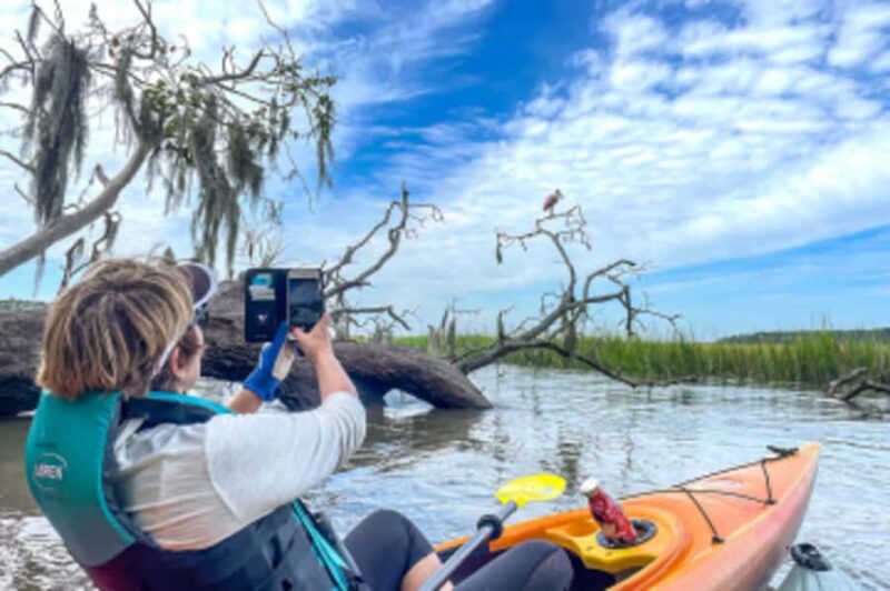 Hilton Head: Private Outback Kayak Tour - Hilton Head: Private Outback Kayak Tour – An Up-Close Nature Adventure