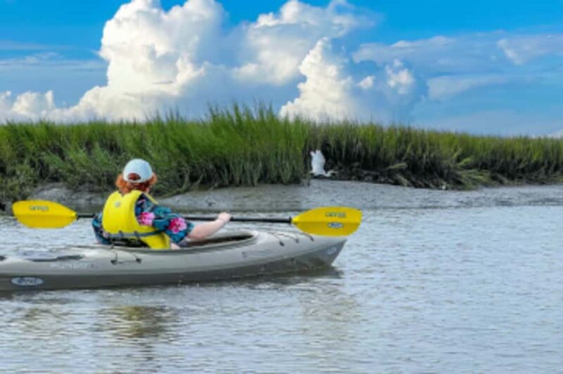 Hilton Head: Private Outback Kayak Tour - Customizable Kayaking Routes in Daufuskies Pristine Marshes