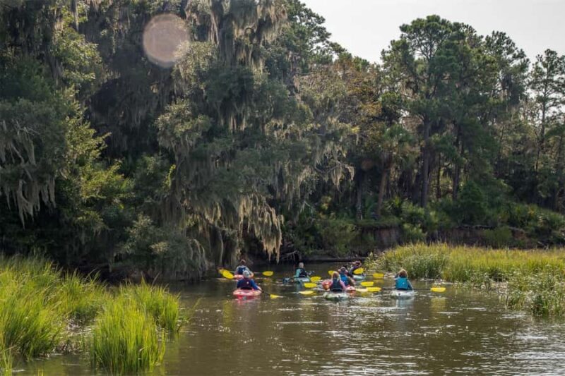 Hilton Head: Private Outback Kayak Tour - Flexibility with Reservations and Cancellations