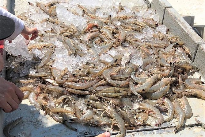 Hilton Head Shrimp Trawling Boat Cruise - Start at Harbour Town Yacht Basin with a Scenic View