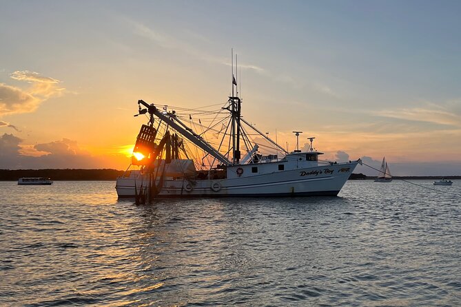 Hilton Head Shrimp Trawling Boat Cruise - Viewing Marine Life and Spotting Dolphins and Turtles