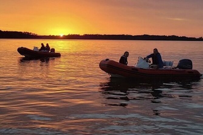 Hilton Head Sunset Dolphin and Sightseeing Tour via Mini Boat - Small-Group Mini Boat Format for Personal Touch