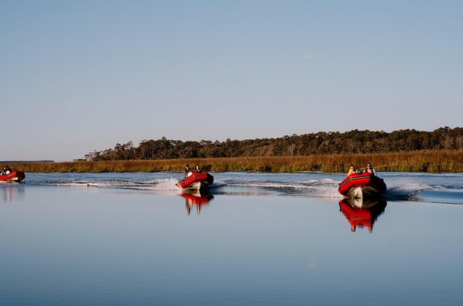 Hilton Head Sunset Dolphin and Sightseeing Tour via Mini Boat - What’s Included in the Tour