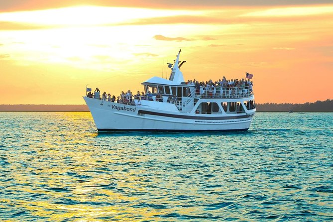 Hilton Head Sunset Dolphin Watching Cruise - Who Will Enjoy This Sunset Dolphin Cruise?