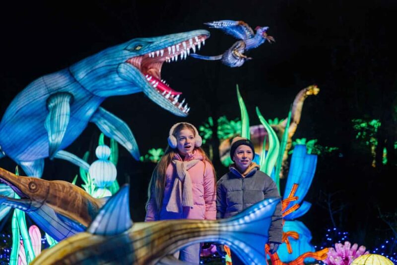 Hilvarenbeek: Light Safari at Beekse Bergen - Explore the Illuminated World of Beekse Bergen’s Light Safari