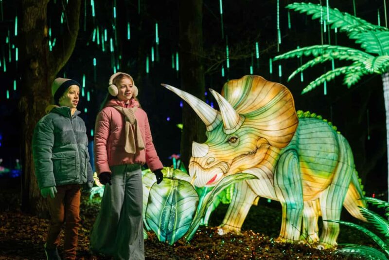 Hilvarenbeek: Light Safari at Beekse Bergen - Starting Point and Access Details in Beekse Bergen