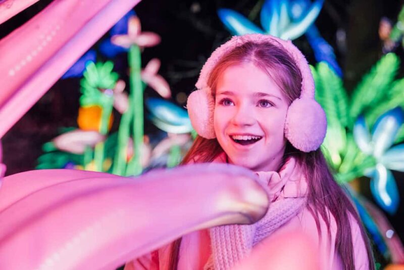 Hilvarenbeek: Light Safari at Beekse Bergen - Cozy Atmosphere with Baked Goods and Campfire Moments