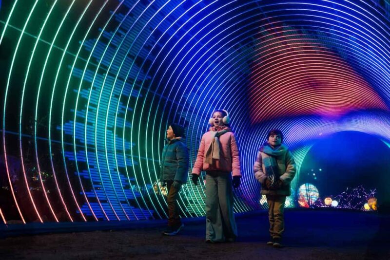 Hilvarenbeek: Light Safari at Beekse Bergen - Booking and Practical Information