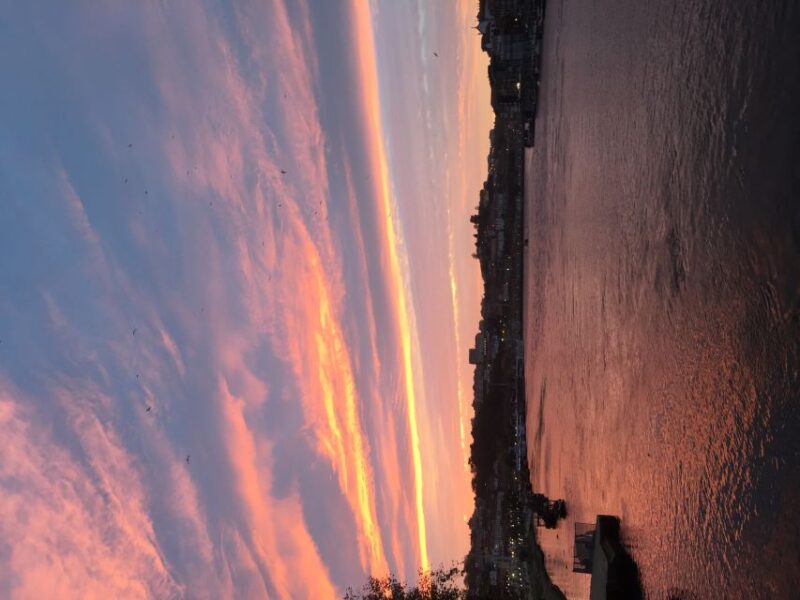 Historic adventure convertible UMM Portugues military jeep - Discovering the University and Monastery Serra do Pilar
