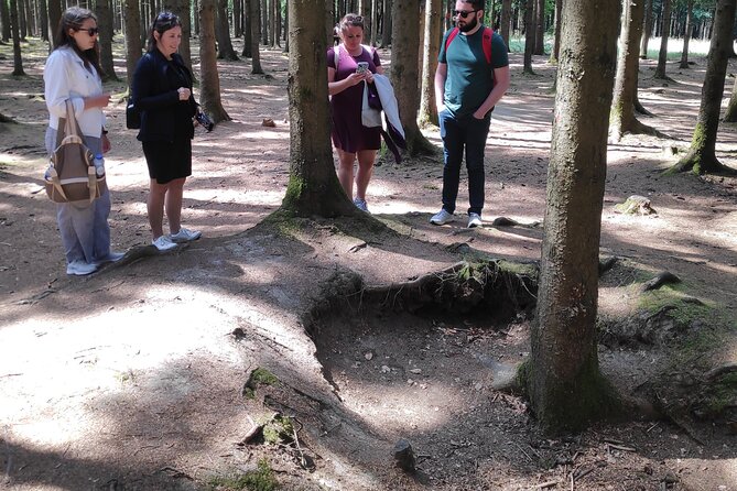 Historic Battle of the Bulge Sites Tour from Brussels - Logistics and Comfort of the Tour