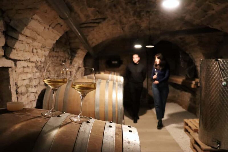 Historic Center of Dijon : Discovery Tasting Wine Burgundy - The Burgundy Vineyard Experience in Downtown Dijon
