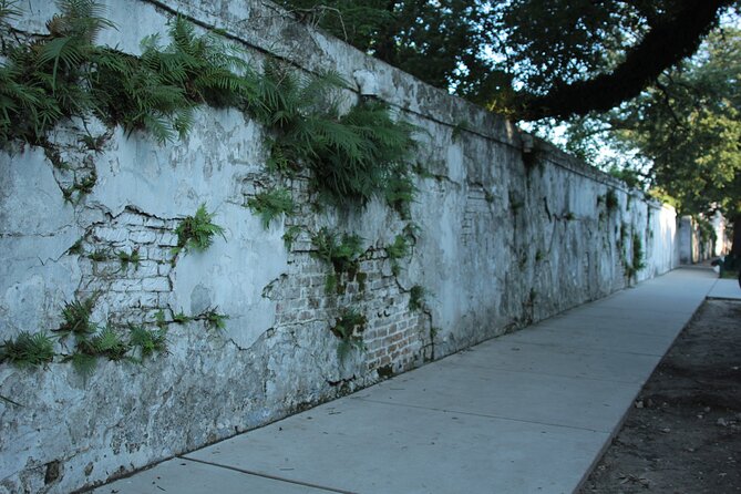 Historic Garden District Walking Tour - The Irish Channel: Immigration and Architecture