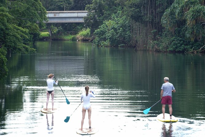 Historic Haleiwa Rainbow Bridge Stand Up Paddle (Anahulu River) - Explore Haleiwa’s Historic Rainbow Bridge and Anahulu River by Stand-Up Paddle