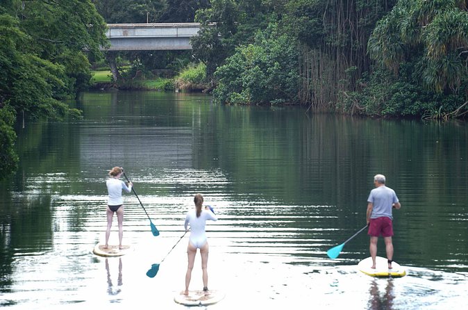 Historic Haleiwa Rainbow Bridge Stand Up Paddle (Anahulu River) - Wildlife Encounters: Spotting Green Sea Turtles