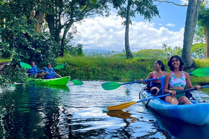 Historic Hilo Bay and Coconut Island Guided Kayak Adventure - Discover the Unique Experience of Hilo Bay Kayaking