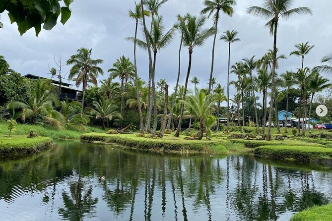 Historic Hilo Bay and Coconut Island Guided Kayak Adventure - Key Points