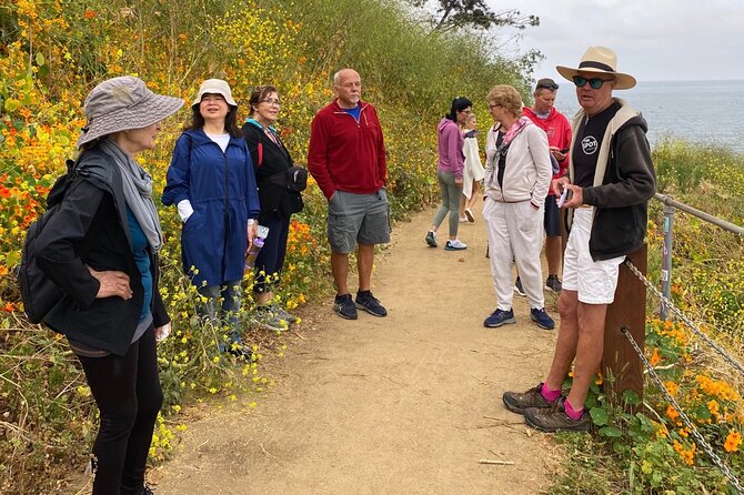 Historic La Jolla Walking Tour - Visiting the Children’s Pool and Seal Viewing