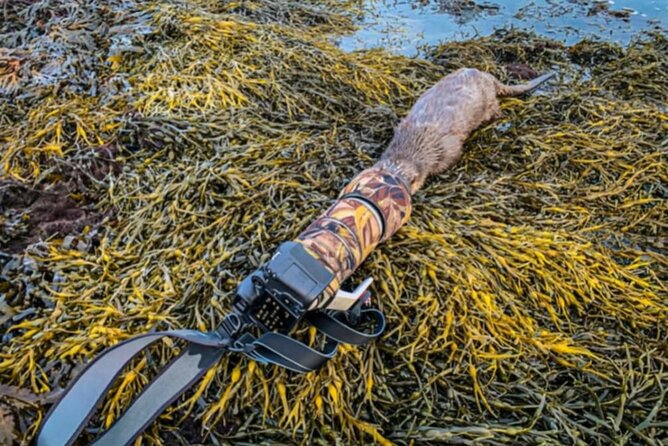 Historic Orkney Showcase Private Tour By a native Islander - Frequently Asked Questions