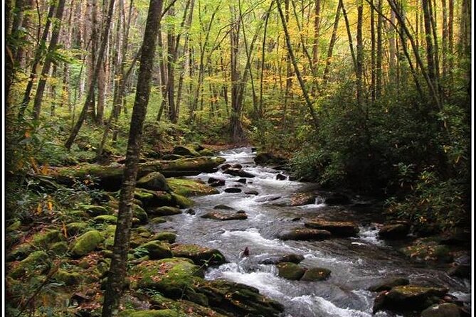 Historic River Town Ramble - Scenic Start at Sugarlands Visitor Center