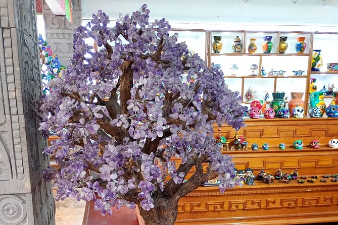 Historic Tour Teotihuacan - Logistical Details: Meeting Point, Transportation, and Group Size