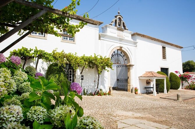 Historic Winery Tour and Tasting in Bombarral - Explore a Historic Family-Owned Winery Near Lisbon